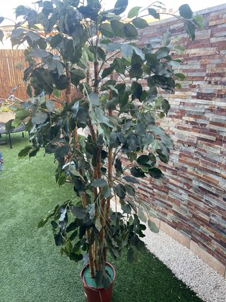 Planta artificial alta