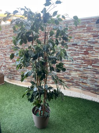 Planta artificial alta