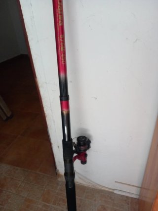 Caña de pesca Daiwa 576M-450