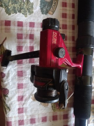 Caña de pesca Daiwa 576M-450