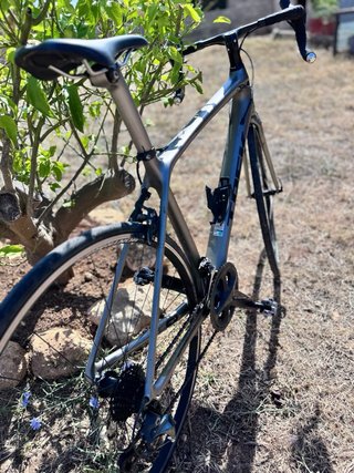 Bicicleta Trek Émonda SL6 Pro Talla 54