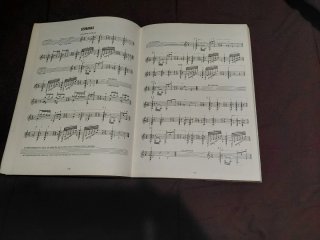 Historia y técnica de la guitarra flamenca