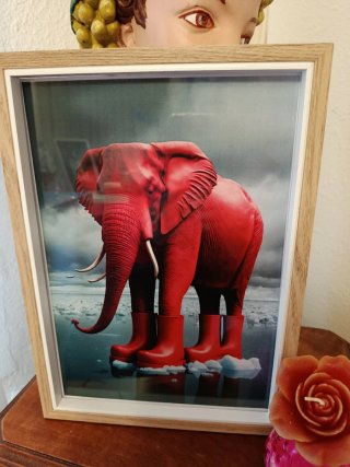 Láminas Decorativas Animales