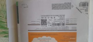 Campbell biologia concetti e collegamenti : plus