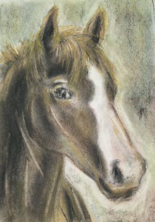 Disegni di cavalli originali