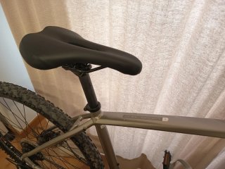 Bicicleta Trek Dual Sport 2