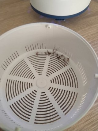 Lámpara mata insectos USB