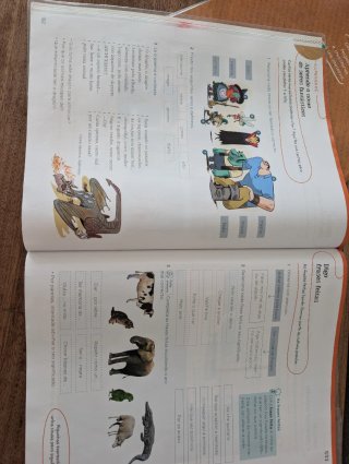 Libros texto Anaya 4 Primaria