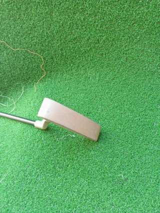 Palo de golf Putter