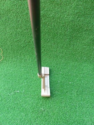 Palo de golf Putter