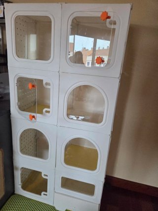 Módulos apilables para crear una jaula o casa gato