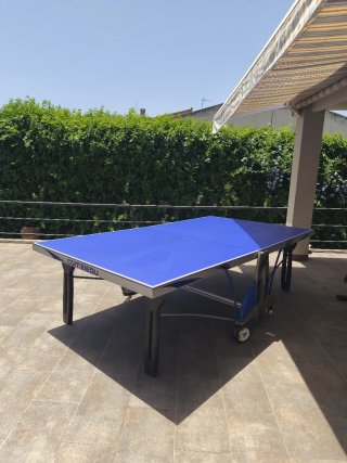 Mesa Ping Pong Outdoor 440 DSI