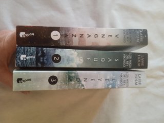 Los hijos del rey vikingo. Trilogía los 3x20€