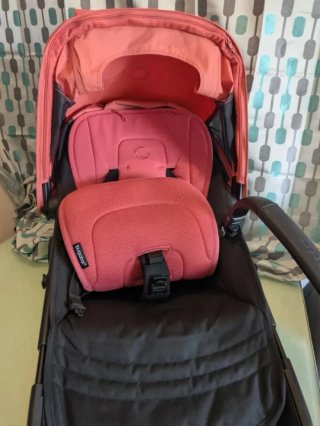 Conjunto bugaboo Rojo Amanecer fox5