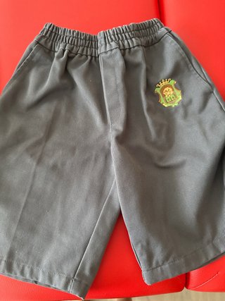 Uniforme Colegio Santo Tomás de Aquino