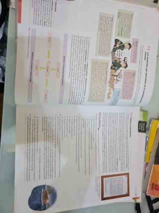 Lengua castellana y literatura 1o Bachillerato