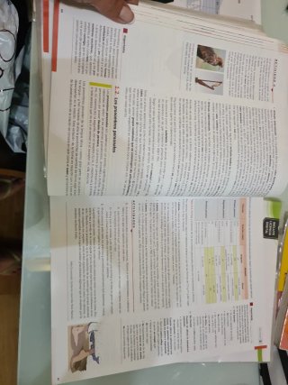 Lengua castellana y literatura 1o Bachillerato