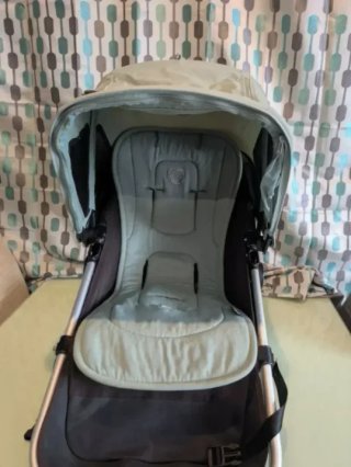 Conjunto bugaboo Verde grisáceo Fox y camaleon
