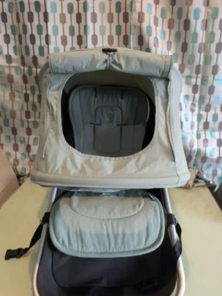 Conjunto bugaboo Verde grisáceo Fox y camaleon