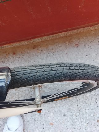 Bicicleta Plegable Blanca