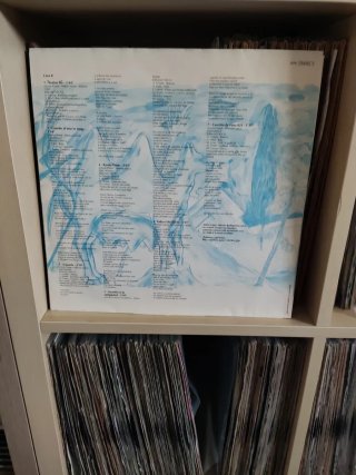 Vinilo El Último de la Fila Enemigos