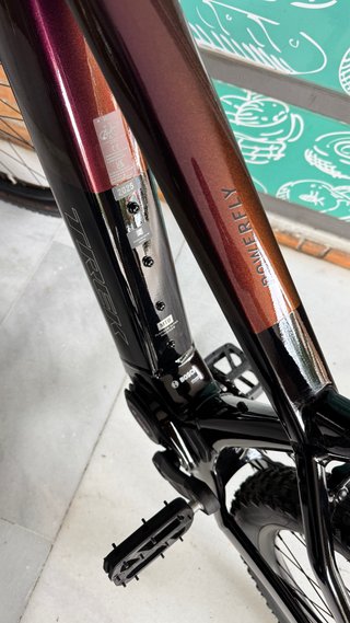 Bicicleta Eléctrica Trek Powerfly 6