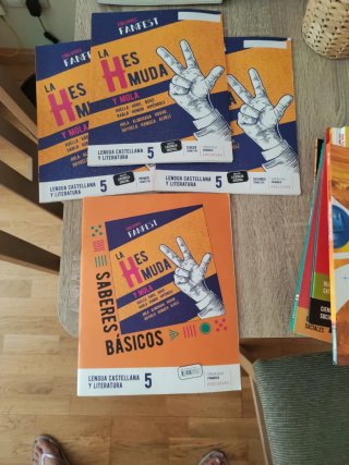 Libros de lengua castellana y literatura 5 primari