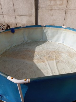 Piscina redonda desmontable