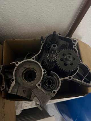 Despiece Motor AM6