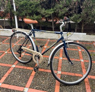 2 Bicicletas por el precio de una