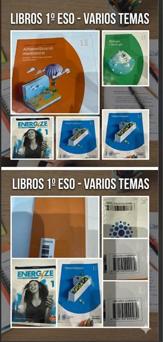 Lote de libros Santillana 1 de  la ESO