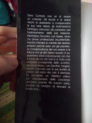 Luce e ombre la farfalla nera
