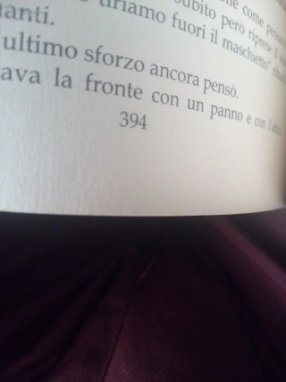 Luce e ombre la farfalla nera