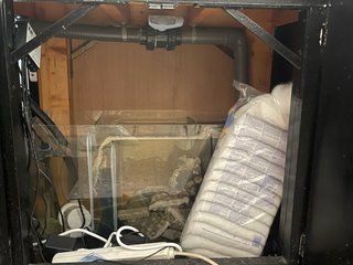 Acuario 200L con mueble negro