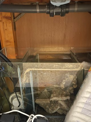 Acuario 200L con mueble negro