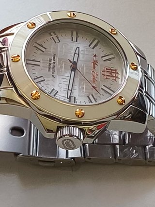 Orologio Uomo Marc Ecko Oro/Argento