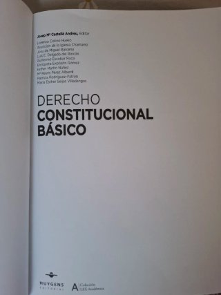 Derecho constitucional básico