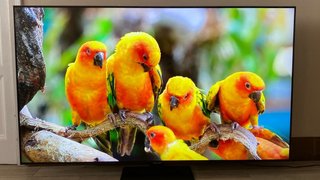 Televisor Samsung QE65Q80BATXXC