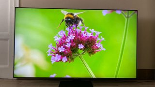 Televisor Samsung QE65Q80BATXXC