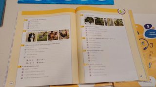 Lengua 5 Primaria