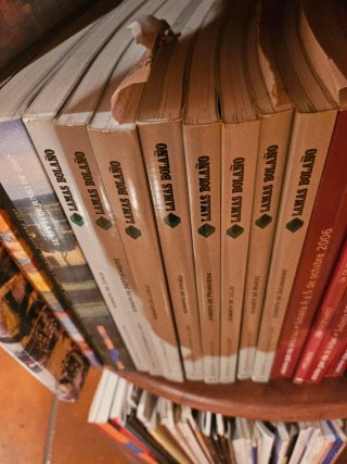 Lote Revistas Subastas