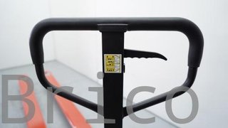 Transpaleta Larga Hidráulica 3000 Kg - 2500x540 mm