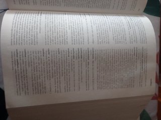 DIC LLENGUA CATALANA (IEC) (Diccionaris de la l...