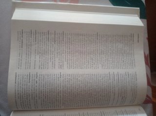 DIC LLENGUA CATALANA (IEC) (Diccionaris de la l...