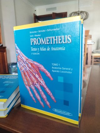 Libro Anatomía Prometheus 2° edición