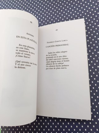 Poesía española para jóvenes