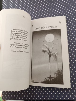 Poesía española para jóvenes