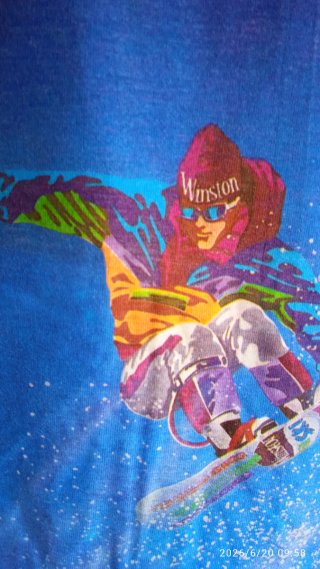 Camiseta Winston Fun Ski
