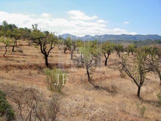 Terreno en venta en Tivissa