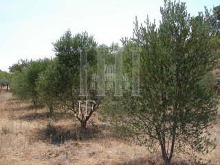 Terreno en venta en Tivissa